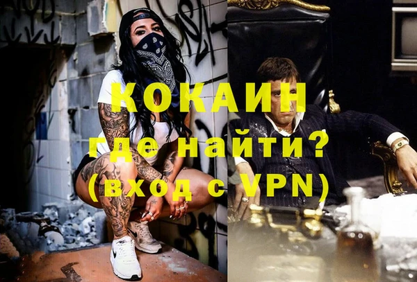 PSILOCYBIN Белокуриха