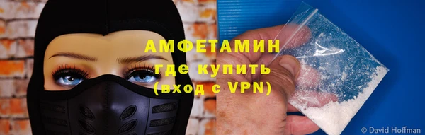 PSILOCYBIN Белокуриха