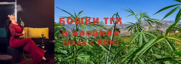 PSILOCYBIN Белокуриха