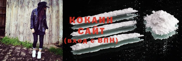 PSILOCYBIN Белокуриха